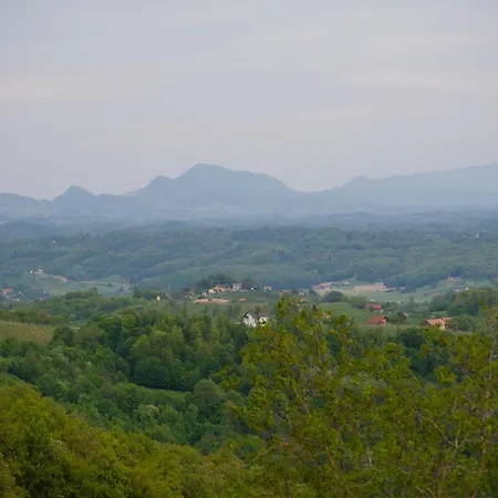 Apartma Lara Апартаменты Lesicno