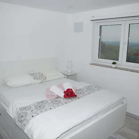 Apartma Lara * Lesicno