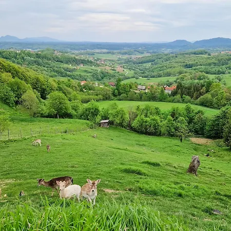 아파트 Apartma Lara