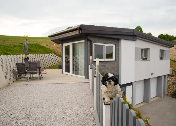 Apartma Lara アパート *