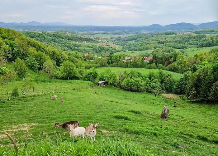 アパート Apartma Lara